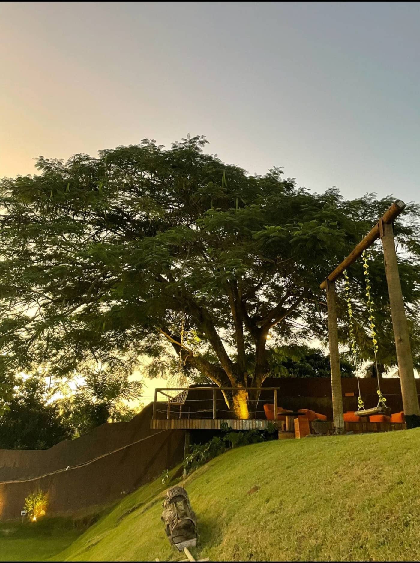 Árvore com balanço ao fim da tarde